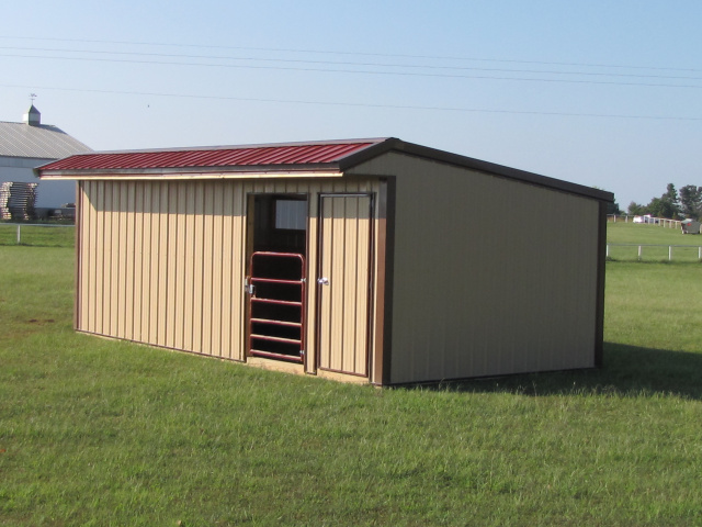 Horse Run in Sheds